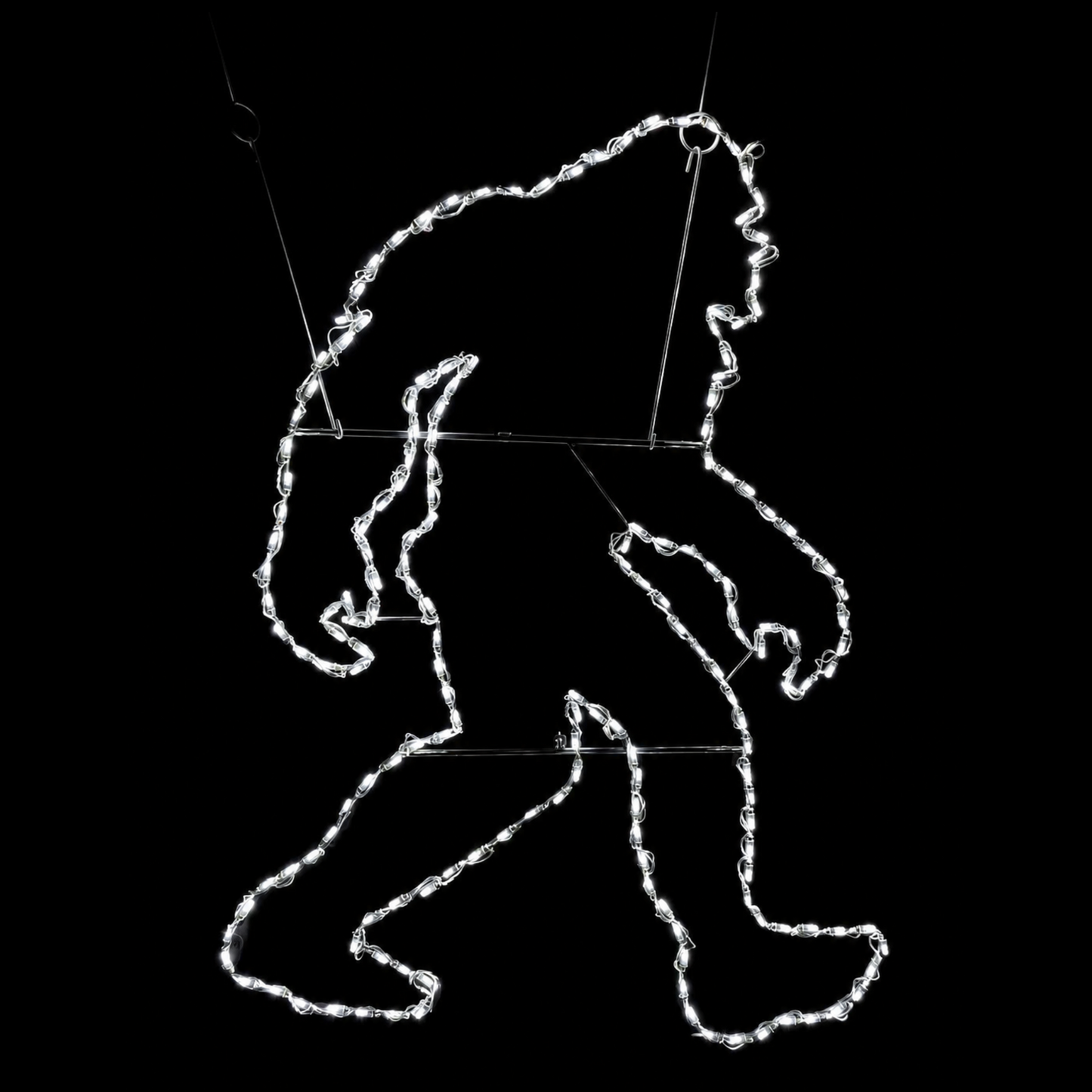 Bigfoot LED Display