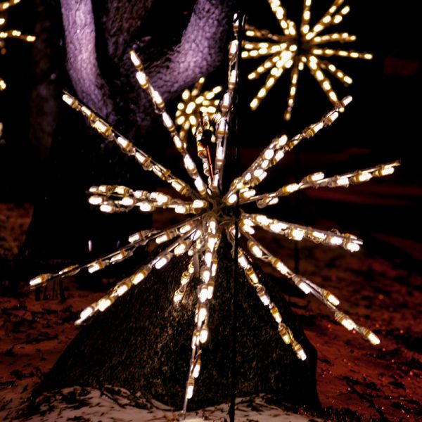 LED 24" Starburst