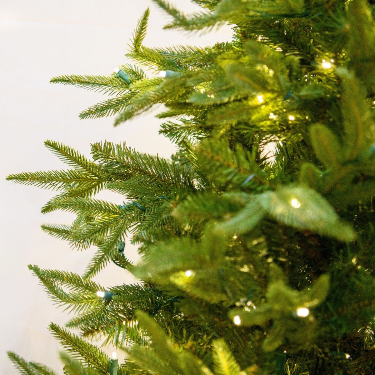 LED 14' Fraser Fir Tree, 2400 Warm White 5MM Concave Lights - Fraser fir needles and warm white lights close-up 2