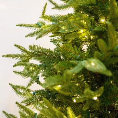 LED 14' Fraser Fir Tree, 2400 Warm White 5MM Concave Lights - Fraser fir needles and warm white lights close-up 2