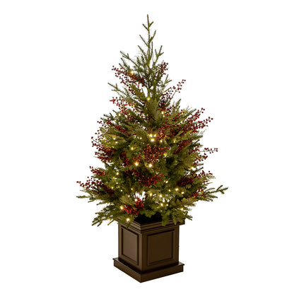 Árbol de pino mixto con bayas en maceta de 4'