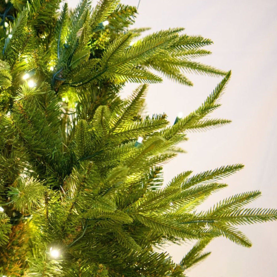 LED 7.5' Fraser Fir Tree - Warm White - Fraser fir needles and warm white lights close-up 2