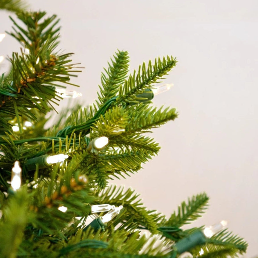 7.5' Flocked Norway Spruced Tree with LED White Lights - needle and white lights close-up 2