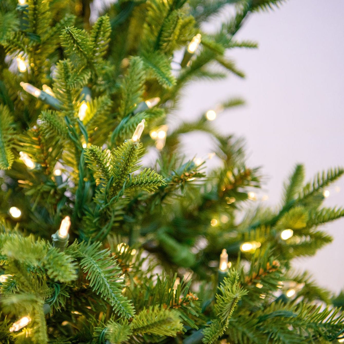 9.5' Norway Spruced Tree with LED White Warm Lights - needle and lights close-up 3