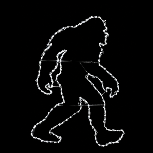 Bigfoot LED Display