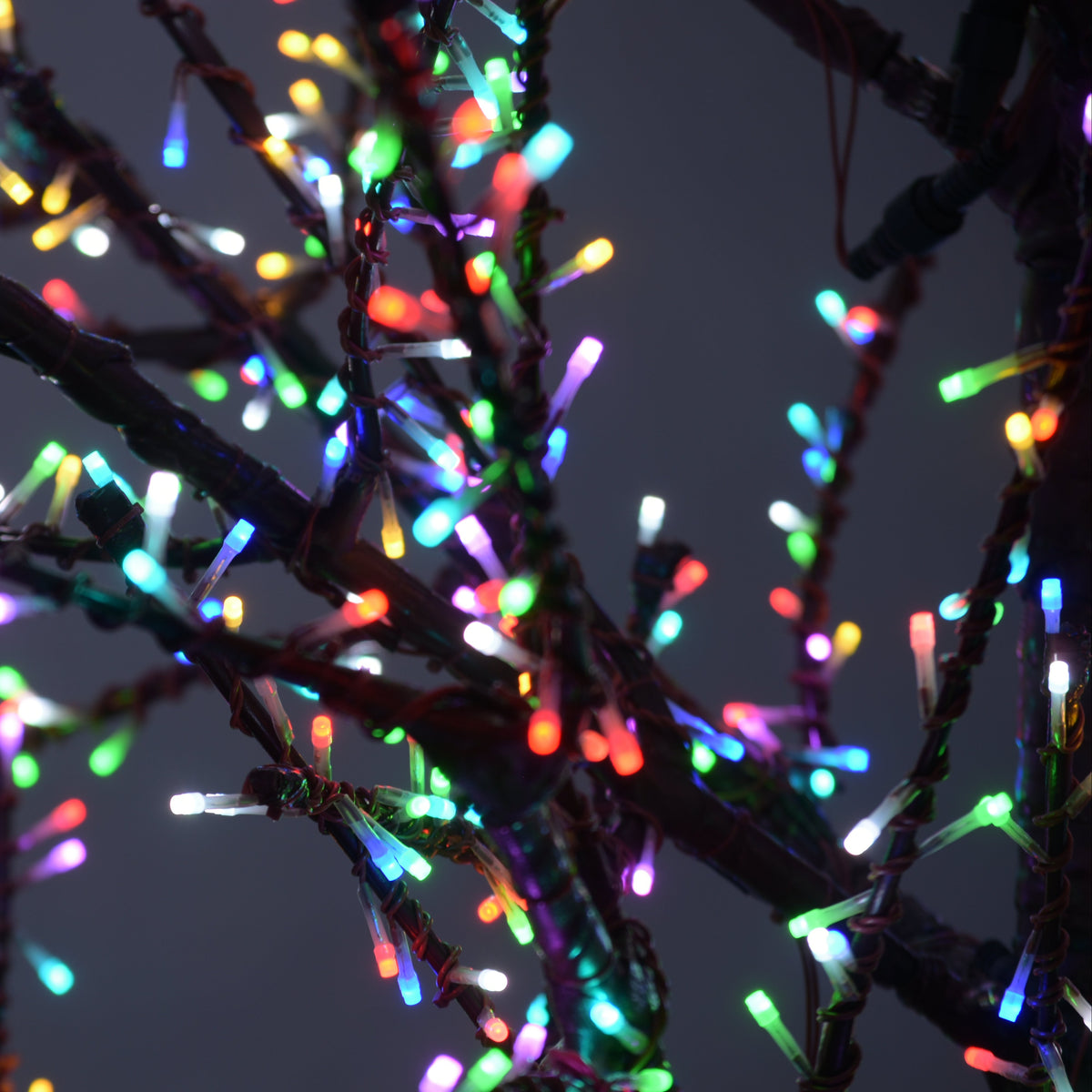 Árbol LED Linden de 8', Tronco Marrón, Luces RGB - Controlado por App