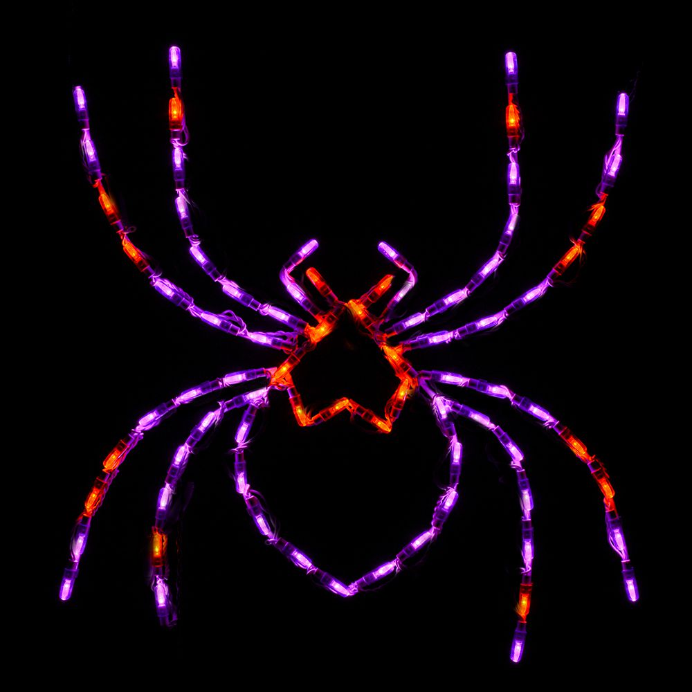 Exhibición LED de araña para Halloween