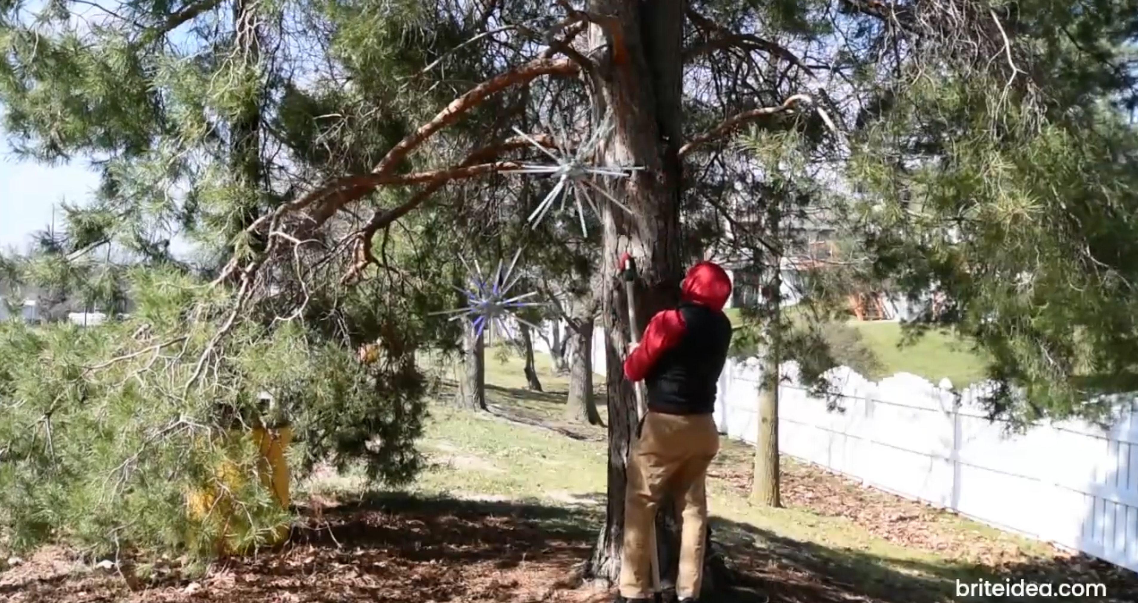 Cargar video: 