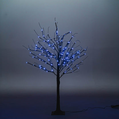 Black Birch Tree - 4 ft.