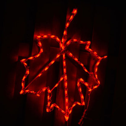Pantalla LED Maple Leaf