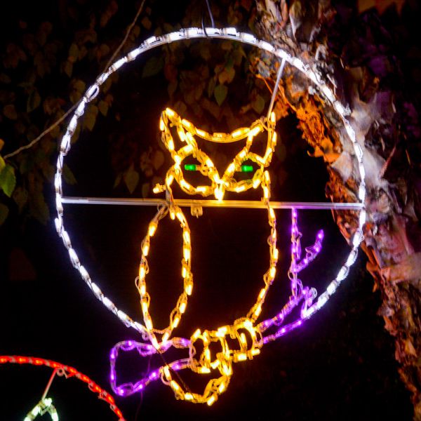 Búho en Rama de Árbol, Exhibición LED de Halloween