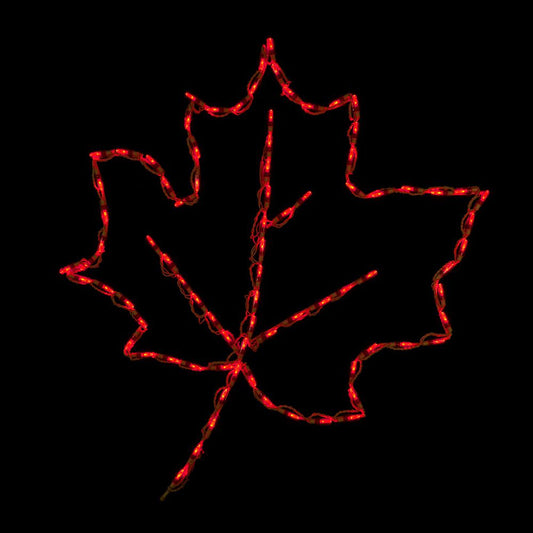Pantalla LED Maple Leaf