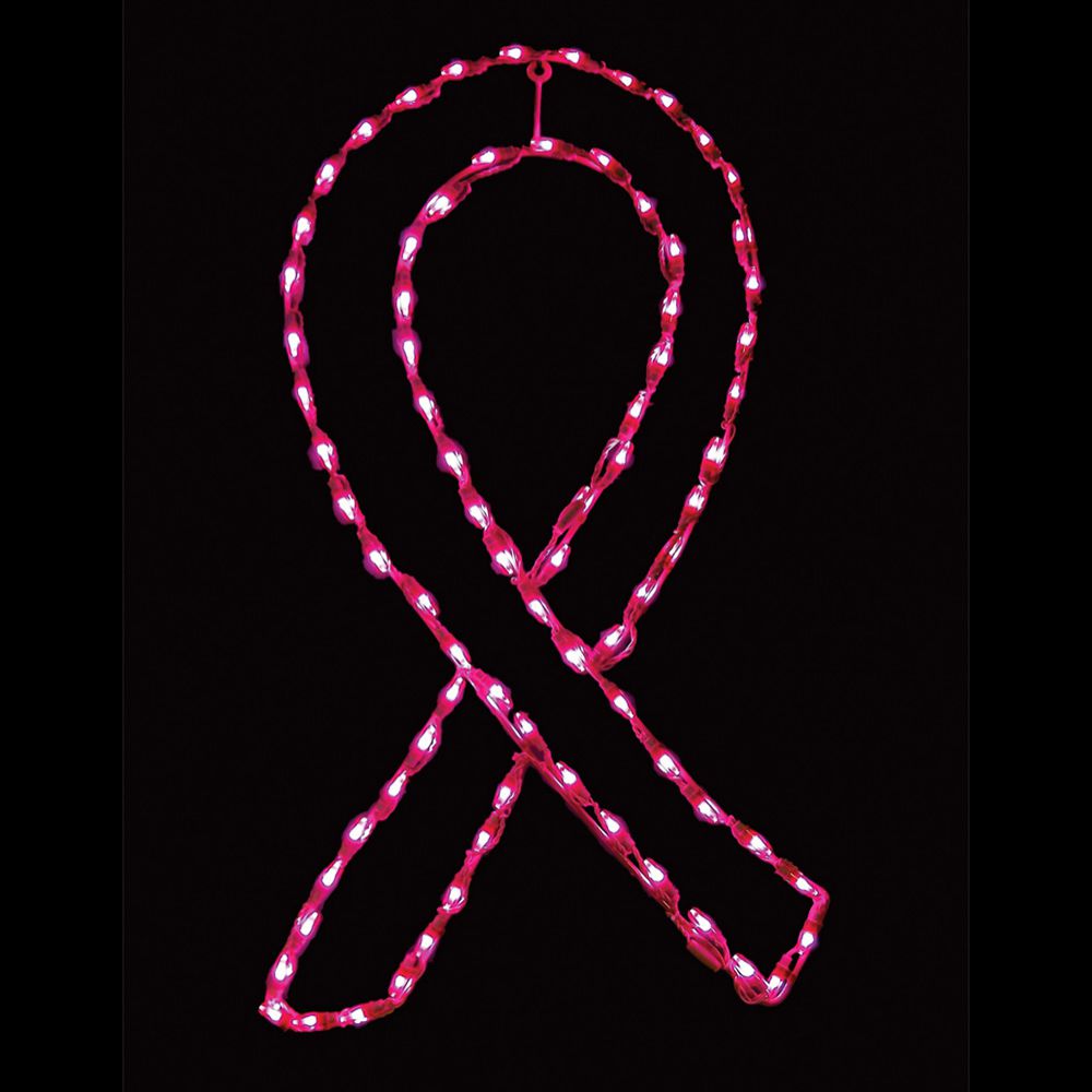 Cinta Rosa LED Display (20")