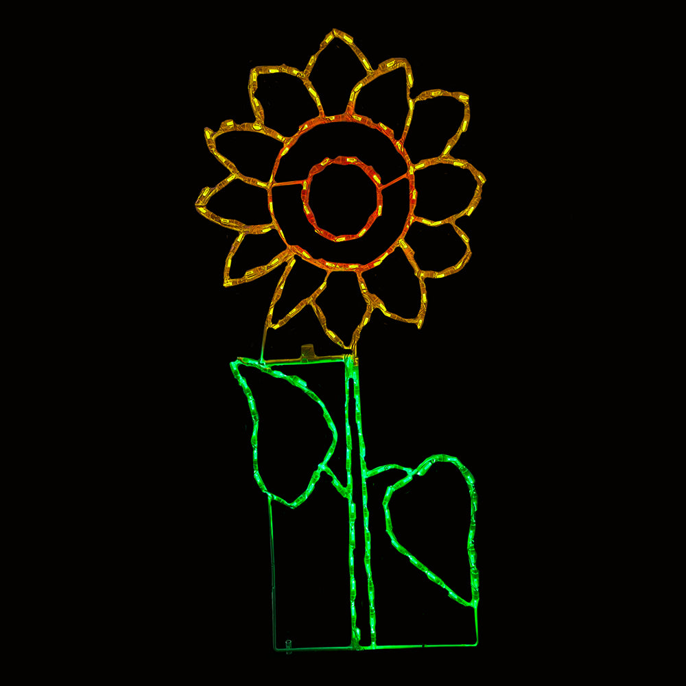 Pantalla LED Girasol