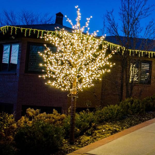 LED 12 Linden Tree, Tronco Marrón, Luces Blancas Cálidas