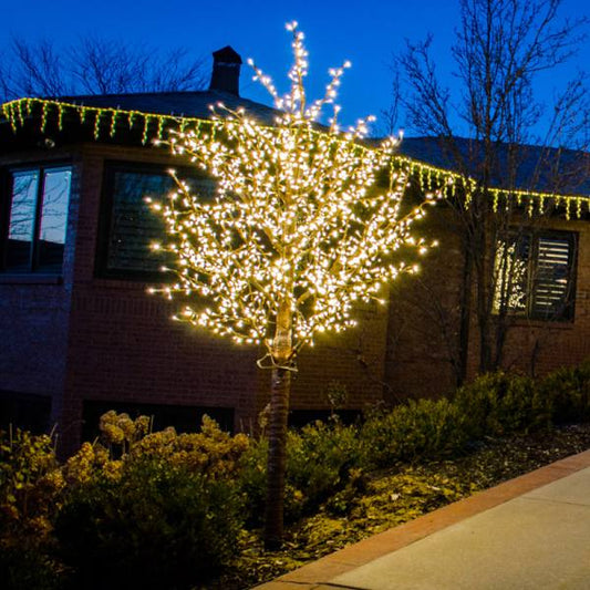 LED 12 Linden Tree, Tronco Marrón, Luces Blancas Cálidas