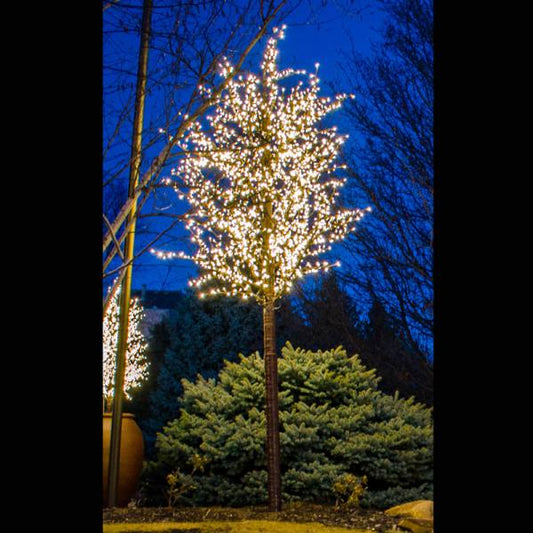 Árbol Tilo LED de 15', tronco marrón, luces blancas cálidas